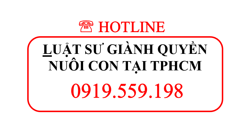 Luật sư giành quyền nuôi con tại TPHCM 